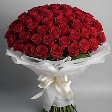 Букет 101 Красная роза Блэк Мэджик #REPLACE_PRED# Веселёво