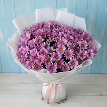 Букет цветов из:  Хризантемы #REPLACE_PRED# Веселёво