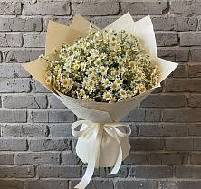 Букет цветов из:  Ромашки в Веселёво