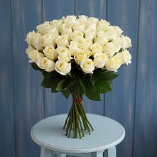 Букет 51 Белая роза Эдлесс Лав #REPLACE_PRED# Веселёво
