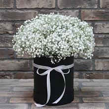 Цветочная композиция из Гипсофила в шляпной коробке в Веселёво