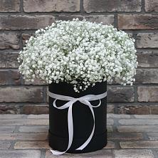 Цветочная композиция из Гипсофила в шляпной коробке в Веселёво