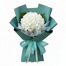 Букет цветов из:  Гортензия в Веселёво